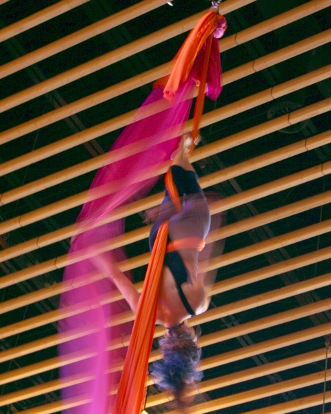 Dancer In Silk